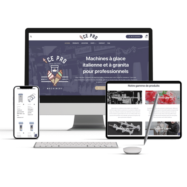 Présentation du site internet icepro