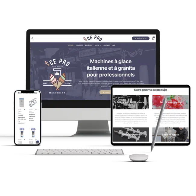 Présentation du site internet icepro