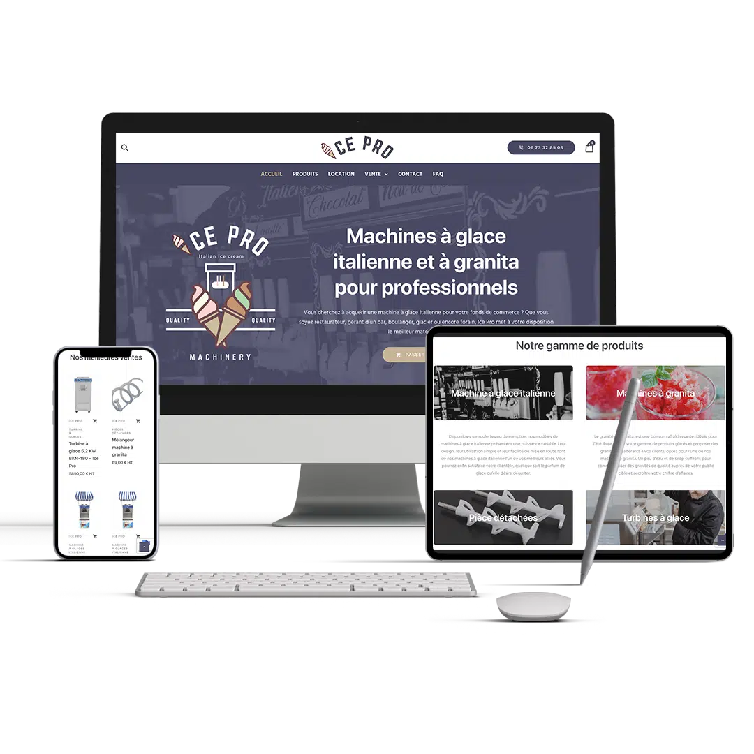 Présentation du site internet icepro