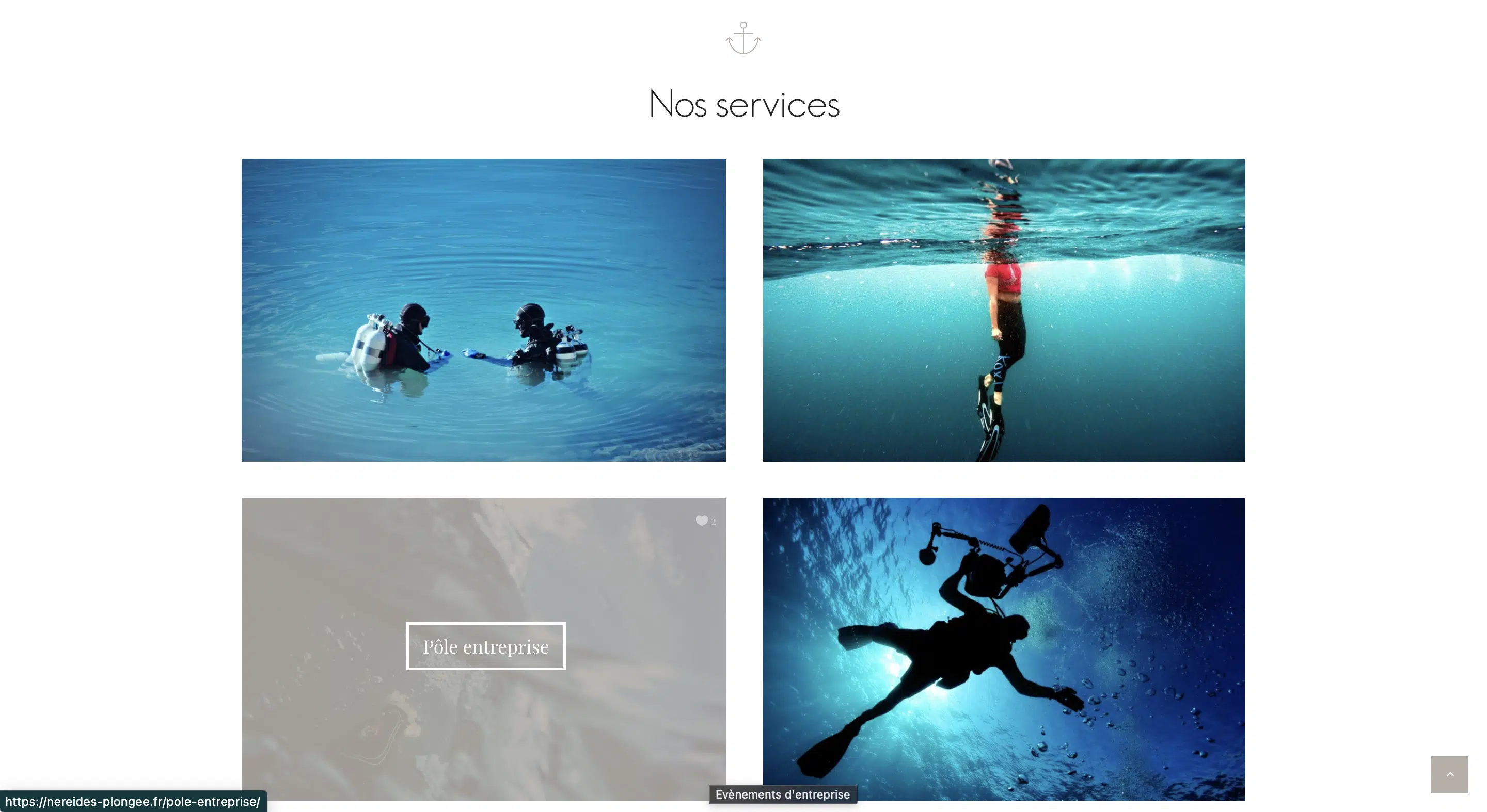 Nos services Néréides Plongée