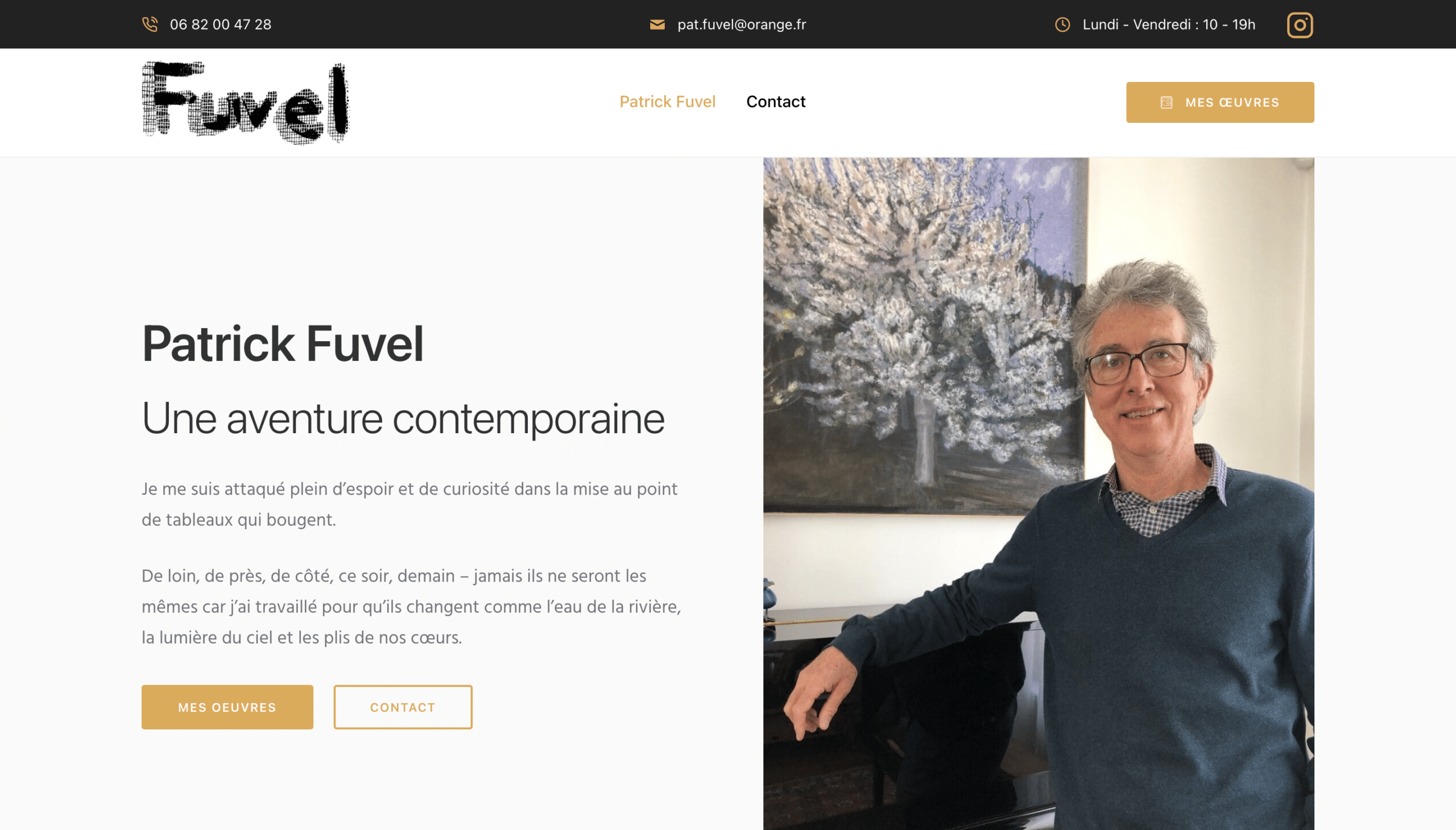 Page d'accueil du site de Patrick Fuvel